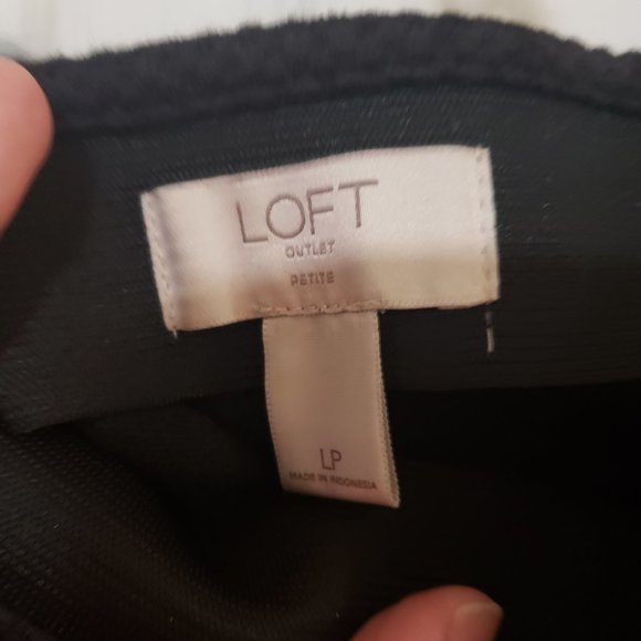 Loft Fit and Flare Skirt - Picture 5 of 6